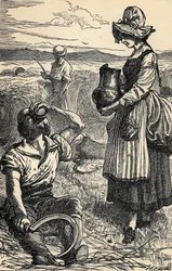 Field Workers Reaping